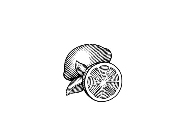 lemon icon